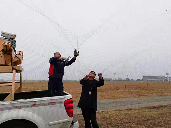 1614232678403379.jpeg WechatIMG16.jpeg