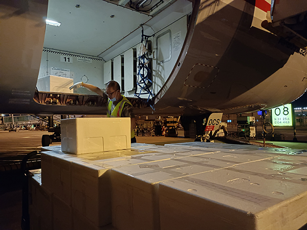 1651026507126633.jpeg 綿陽機(jī)場協(xié)助市商務(wù)局向上海運輸緊急物資2.jpeg