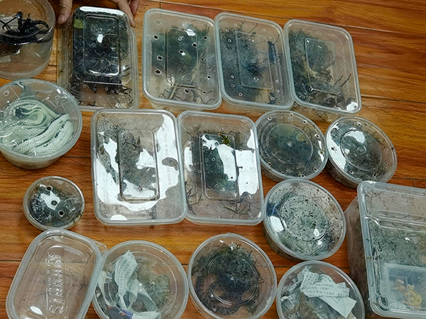 1655778238224496.jpg 25a69096782edf5b2269f12d559adbb9.jpg